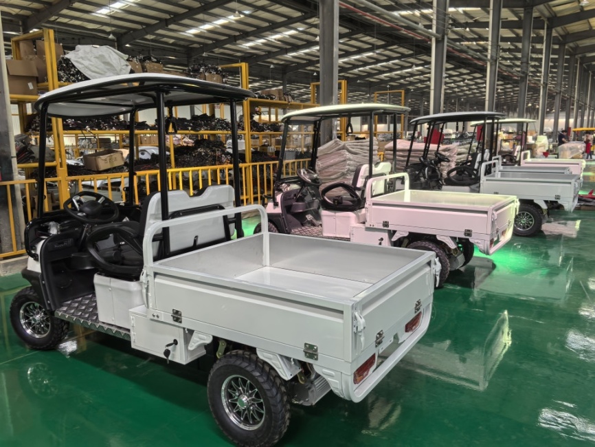 Гольфкар GreenCamel Сонора A2C New (2+Cargo 2500W 130/90-10' литые) пониженная фото 9