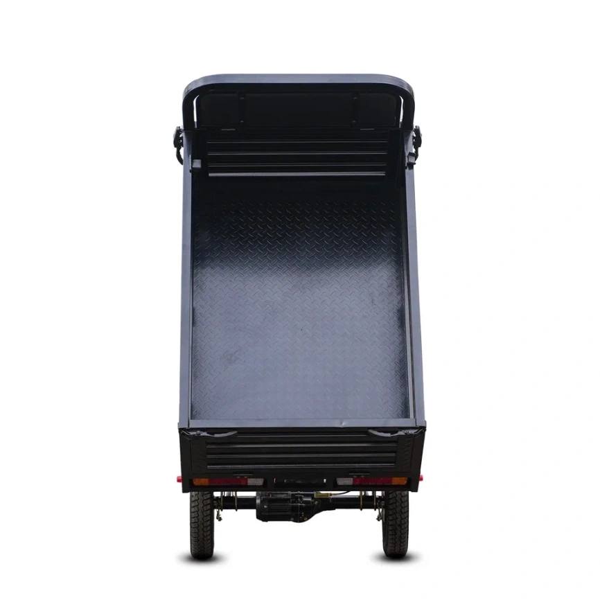 SIBTRIKE CARGO 1500 W 60V36A фото 29