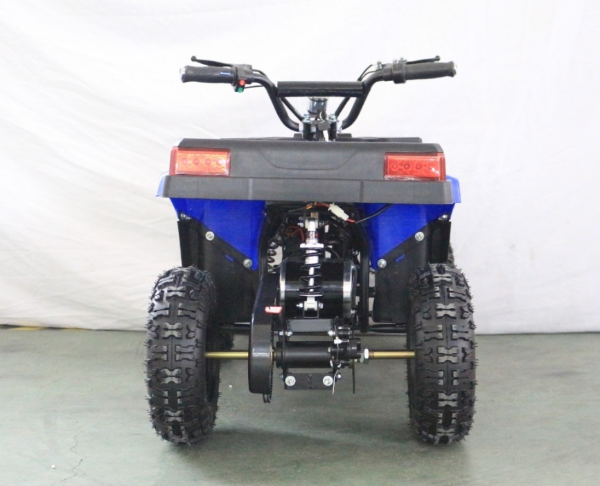 Электроквадроцикл GreenCamel Гоби K24 36V 800W фото 2