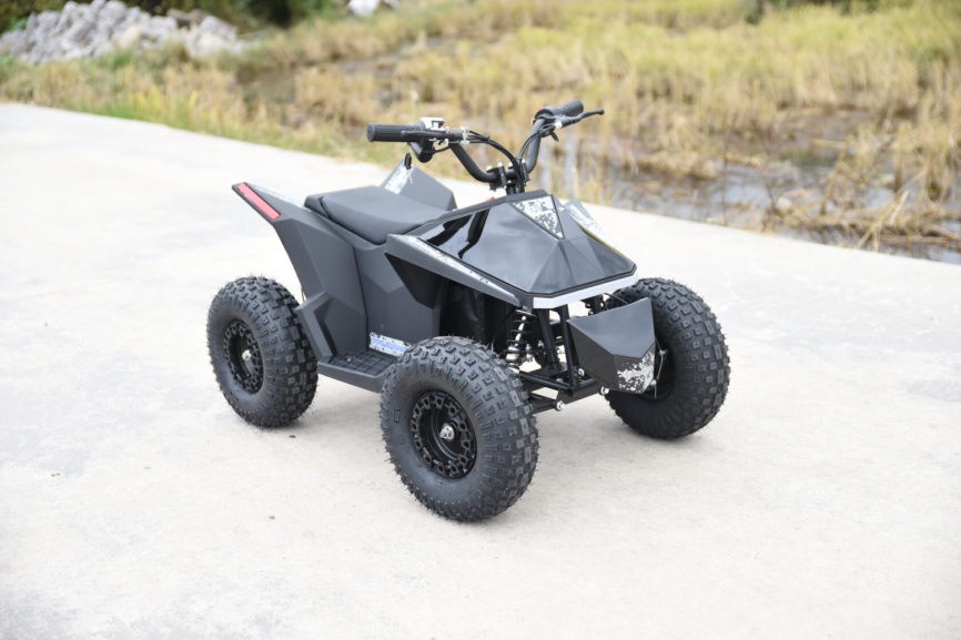 Skyboard CyberTruck Sochi Power 1000W (дифференциальный редуктор) фото 1