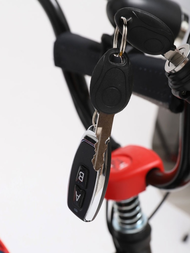 Электроснегокат Simply Go Drive PRO фото 2