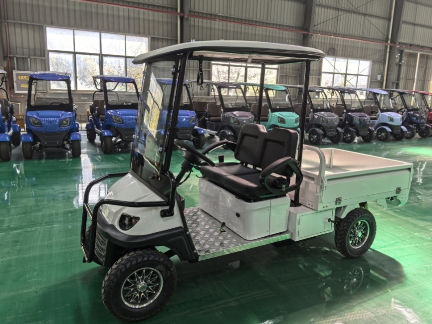 Гольфкар GreenCamel Сонора A2C New (2+Cargo 2500W 130/90-10' литые) пониженная фото 13