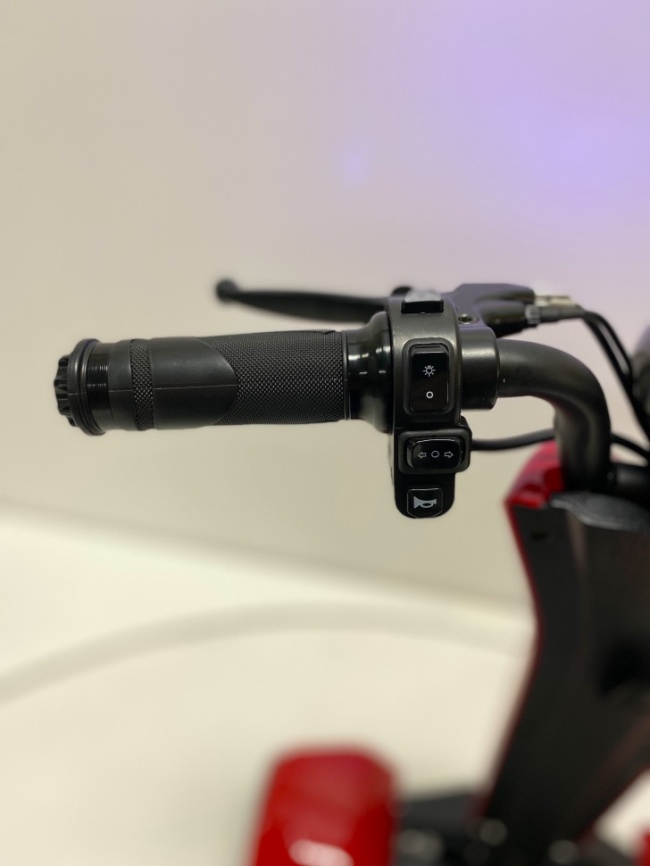 Трицикл GreenCamel Кольт 550 (36V 15Ah 2x250W) автомат фото 8