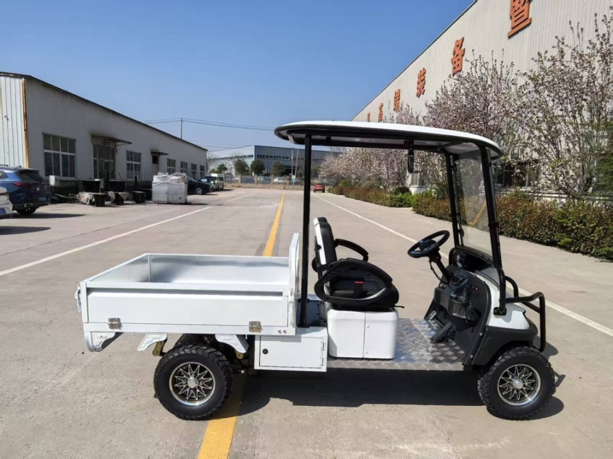 Гольфкар GreenCamel Сонора A2C New (2+Cargo 2500W 130/90-10' литые) пониженная фото 2