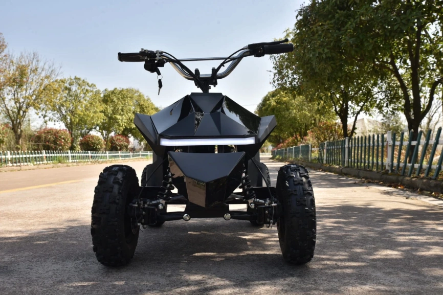 Skyboard CyberTruck Sochi Kids 800W фото 8