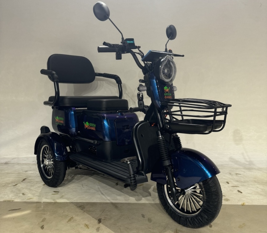 Трицикл GreenCamel Фродо X7 PRO V2 (60V20Ah 800W R10) дифференциал фото 5