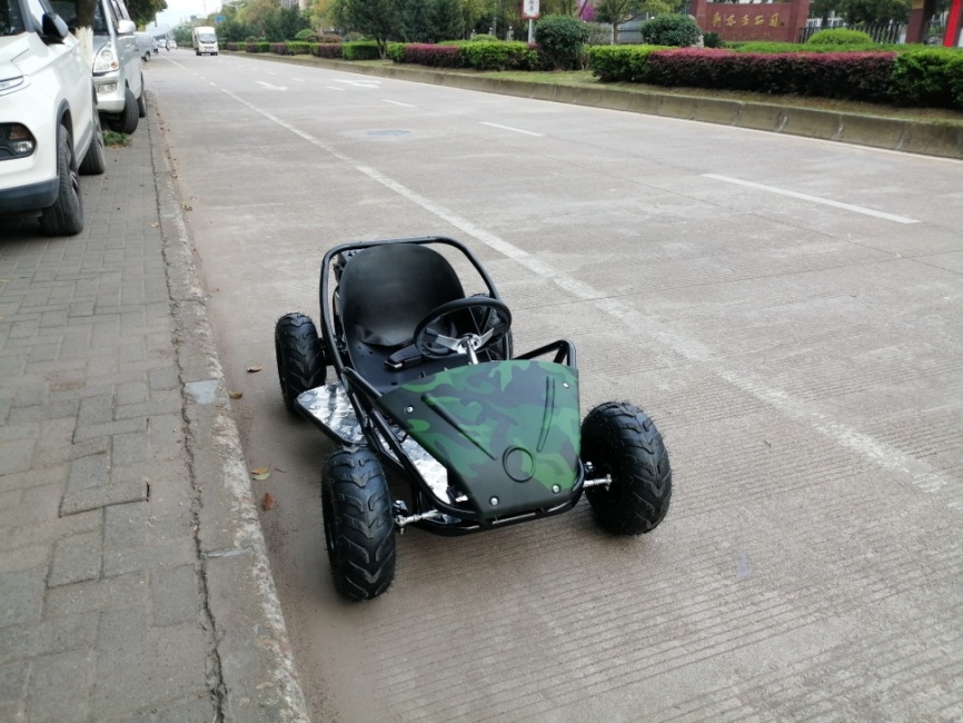 Багги GreenCamel Намиб T007 (48V20Ah 1000W R6) Дифференциал фото 13