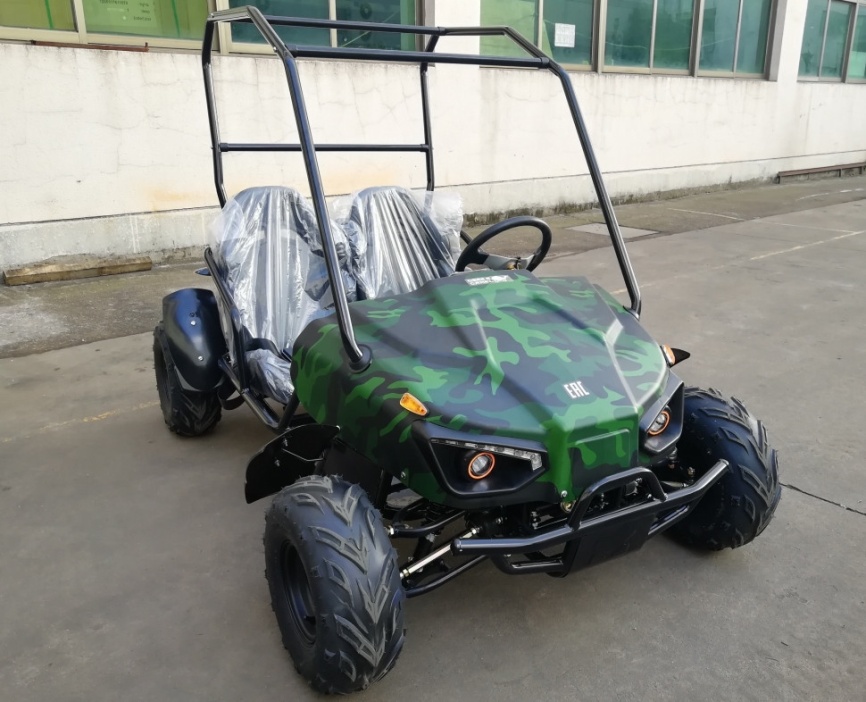 Багги GreenCamel Намиб T009 (60V20Ah 1500W R7) Дифф фото 13