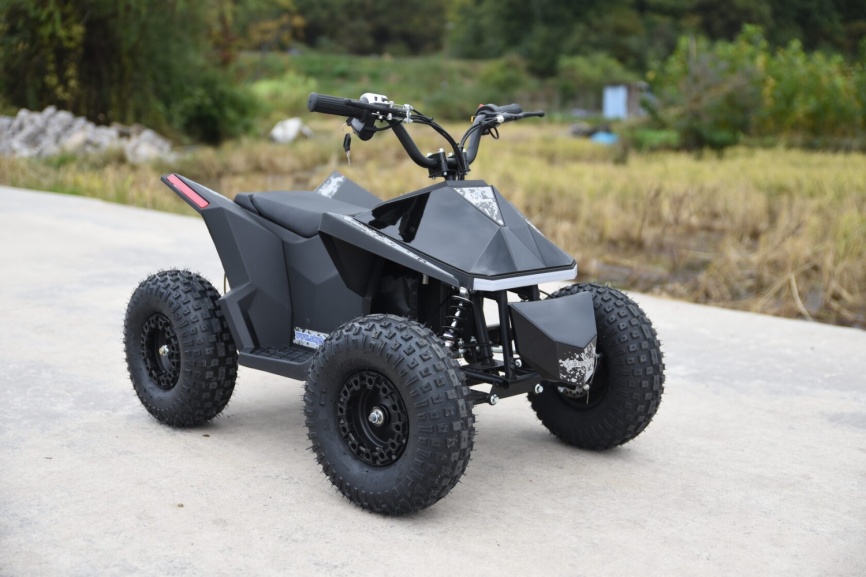 Skyboard CyberTruck Sochi Power 1000W (дифференциальный редуктор) фото 3