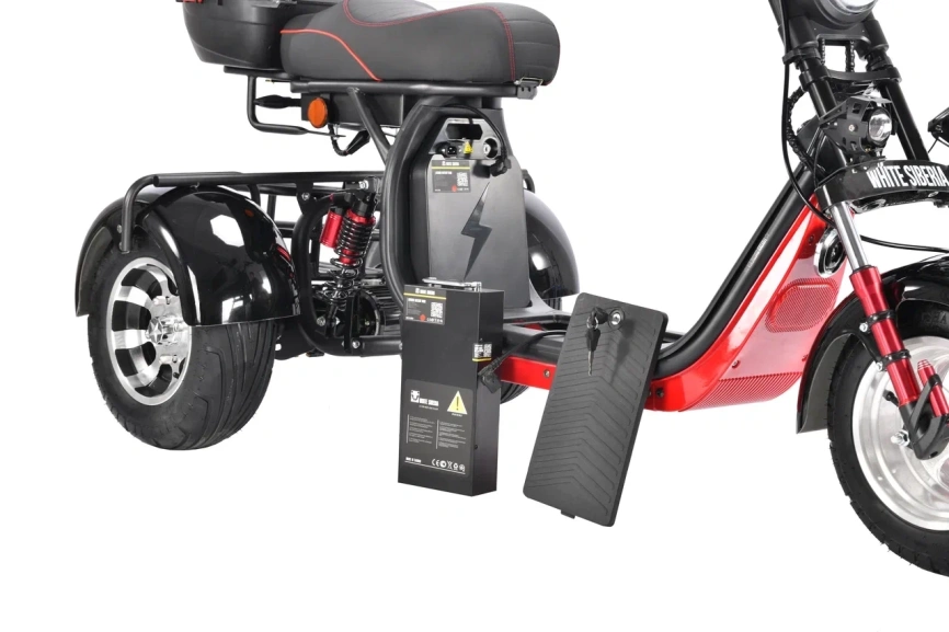 WHITE SIBERIA PRO TRIKE 3000W BLACK фото 24
