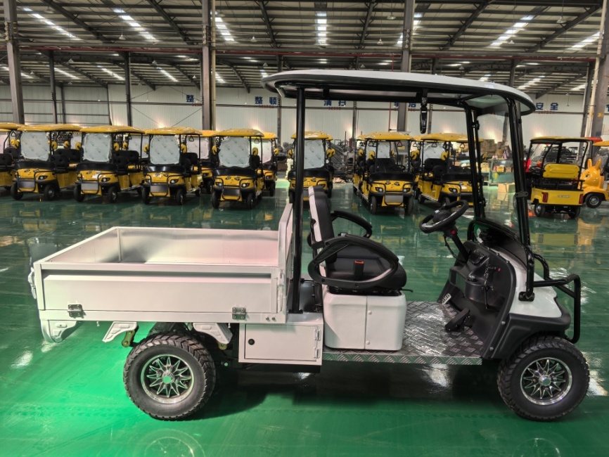 Гольфкар GreenCamel Сонора A2C New (2+Cargo 2500W 130/90-10' литые) пониженная фото 11