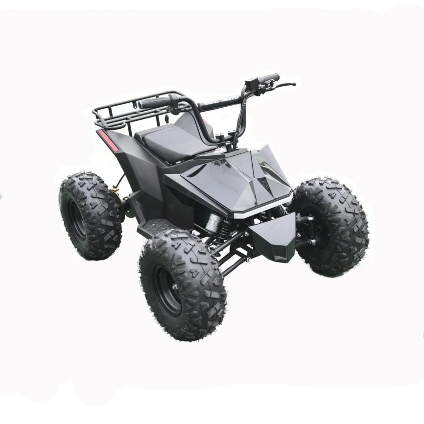 Электроквадроцикл Skyboard CyberTruck Karelia 1800W фото 10