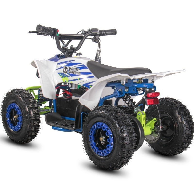  Детский Квадроцикл WHITE SIBERIA SNEG LETO R BLUE фото 3