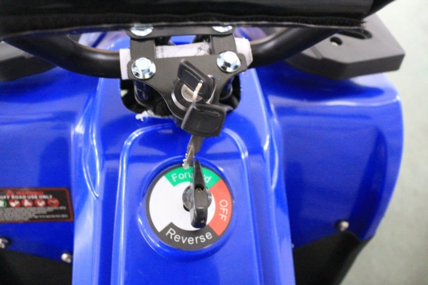 Электроквадроцикл GreenCamel Гоби K24 36V 800W фото 17