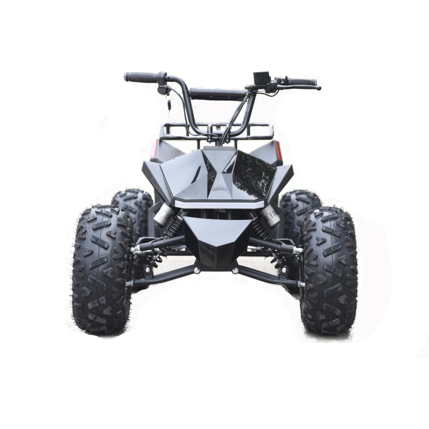 Электроквадроцикл Skyboard CyberTruck Karelia 1800W фото 27