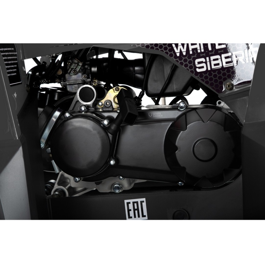 Бензиновый квадроцикл WHITE SIBERIA BARS 200CC PRO (черный) фото 13