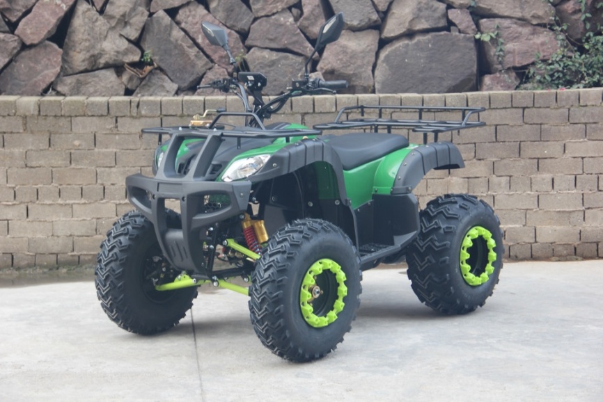 Электроквадроцикл GreenCamel Сахара A3052 (60V 3000W R10) фото 2